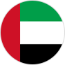 두바이 국기